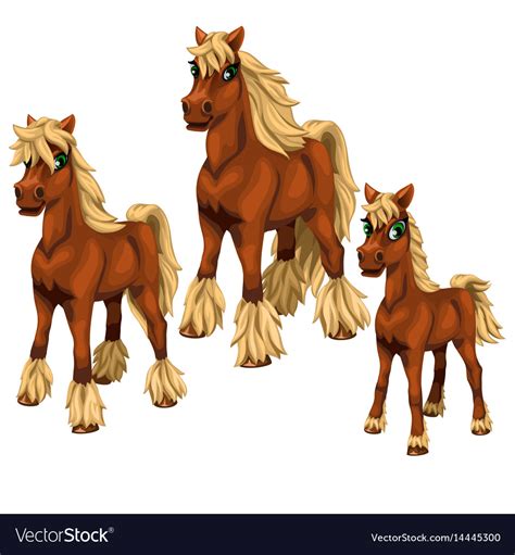 Cartoon Horses On White Background Royalty Free Vector Image