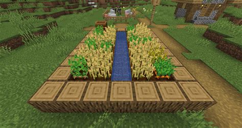 Top 5 Crops To Farm In Minecraft 119 Player Assist Game Guides