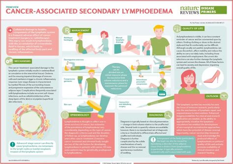 Cancer Associated Secondary Lymphoedema Nature Reviews Disease Primers