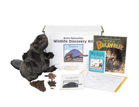 Wildlife Discovery Kit Beaver