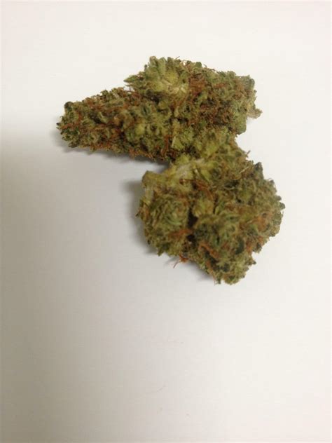 Durban Poison Strain Information And Reviews Wheres Weed