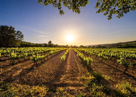 Tailor Made Vacations To The Cava Wine Region Audley Travel