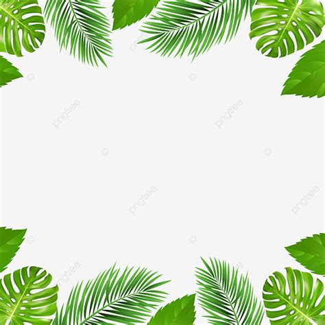 Upload your first copyrighted design. Marco Y Borde Tropical De Palma De Verano, Tropical ...