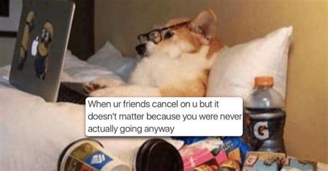 Memes That Perfectly Sum Up Being An Adult 28 Photos