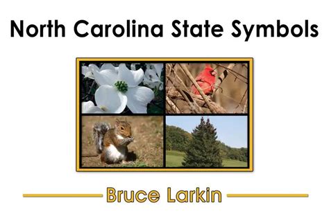 North Carolina State Symbols First Grade Book Wilbooks