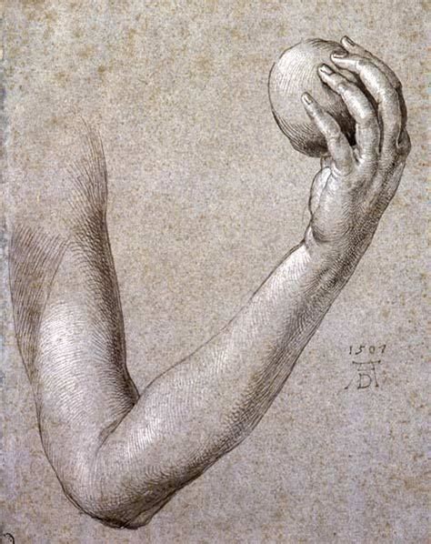 Durer the arm of Eve Albrecht durer Albrecht dürer Master drawing