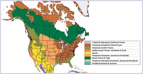 Nema Karta Severne Amerike Angloamerika Wikipedija Visa Usamov