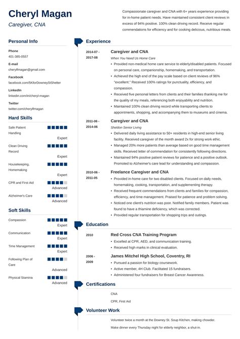 Infographics Caregiver Resume