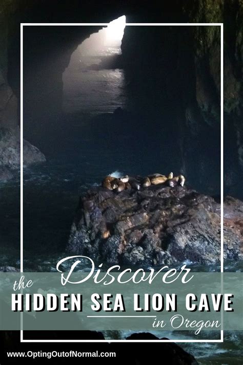 Discover The Hidden Sea Lion Cave In Oregon