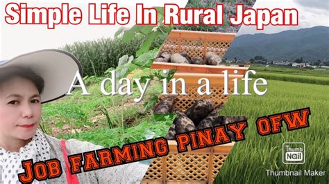 Simple Life In Rural Japan Japan Farming A Day In A Life
