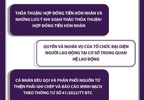 Chuyên Mục Bản Tin Pháp Luật Lac Duy Associates Law Firm