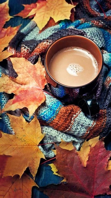 Cute Autumn Wallpapers 58 Cute Fall Wallpaper Backgrounds 58 Cute