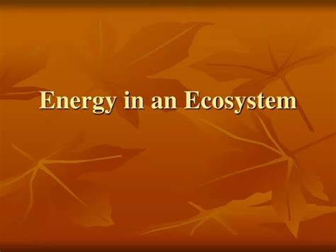 Ppt Energy In An Ecosystem Powerpoint Presentation Free Download