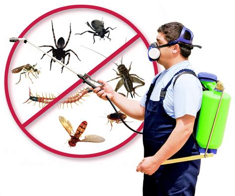 Pest Control In Hampshire Wassup Mate