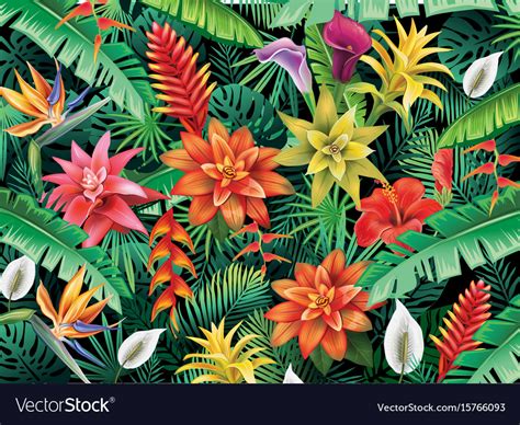 Background From Tropical Flowers Royalty Free Vector Image