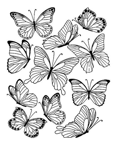 Jurer Prison Touffer Dessin Papillon A Imprimer Hong Kong D Branch