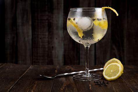 4 Best Gin Glasses That Make Your Gandt Come Alive