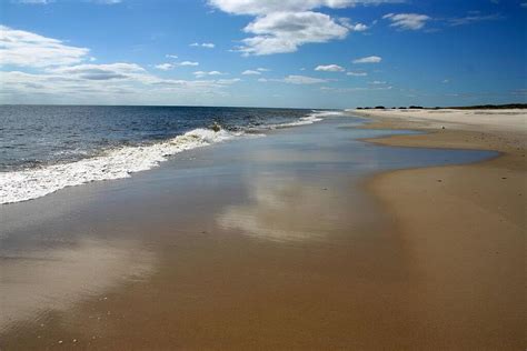 Top 9 Things To Do In Fire Island Wow Travel