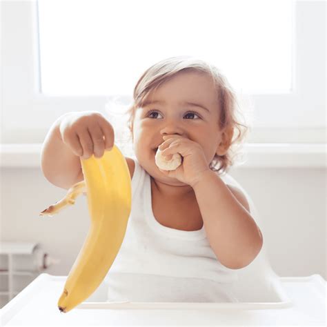 10 Simple Tips To Eliminate Food Throwing For Good My Little Eater