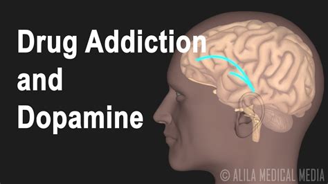 Mechanism Of Drug Addiction In The Brain Animation Youtube