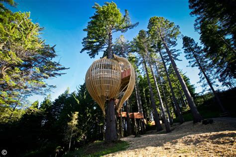 15 Coolest Tree Houses Around The World One Tree Planted