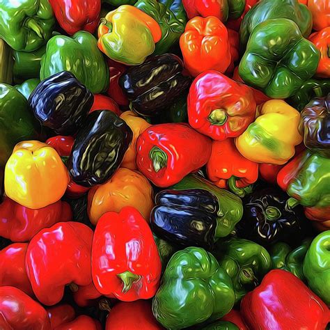 Colorful Bell Peppers Photograph By Cindy Boyd