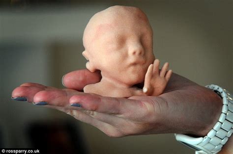 Lifelike Models Of Unborn Babies Allow Parents To Hold Their Baby Before Birth Lifenews Com