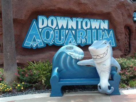Downtown Aquarium Houston All You Need To Know Before You Go