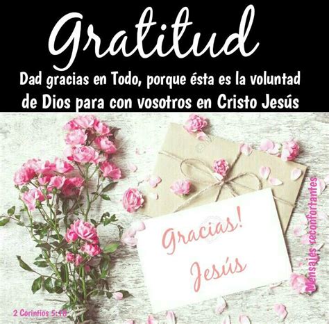 Dad Gracias En Todo Porque Esta Es La Voluntad De Dios Para Con