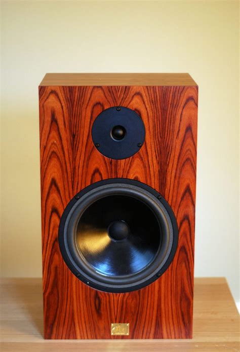 Audio Note AN-K/SPe speakers Review - Audiocounsel