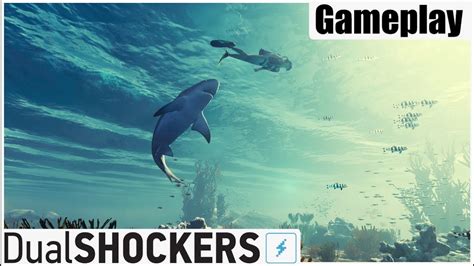 Maneater Gameplay Open World Rpg Shark Game Youtube