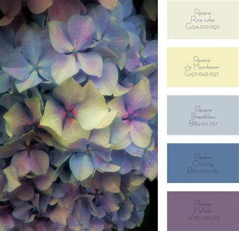 Hydrangea Hues Colour Palette Hue Color Art File Color Of Life Remembrance Hydrangea Paint