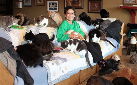 Ultimate Cat Lady Woman Shares Home With 1100 Rescue Felines In Pictures