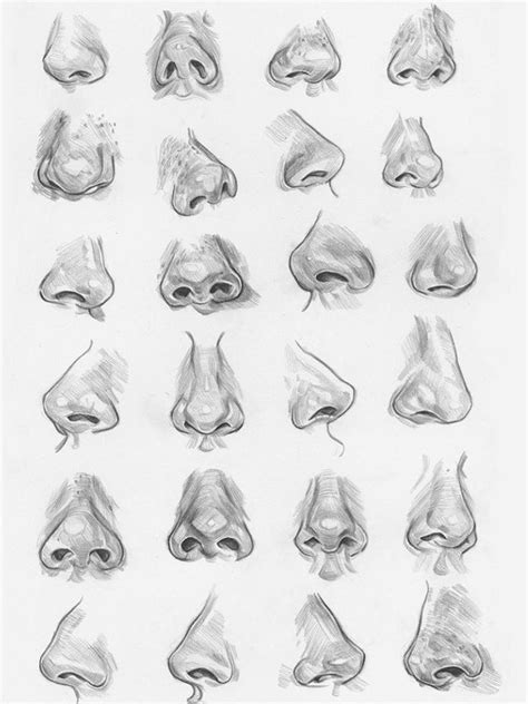 Nose Reference Drawing Nose Techniques Drawings Forward Hubsristes
