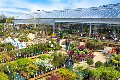 Welcome to homeleigh garden centre. Garden Centers Near Me Open | Family garden, Garden center ...