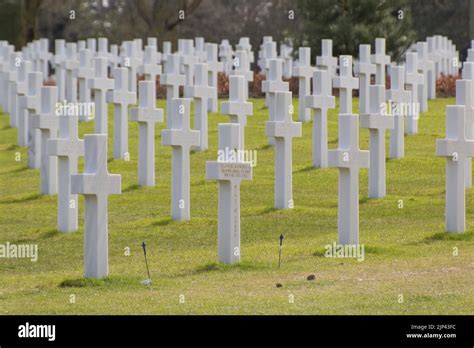 The Normandy American Cemetery With White Crosses In Memory Of The