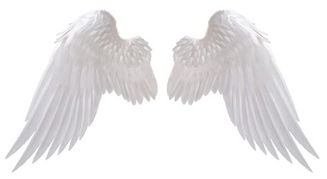 Pin By Djmikayla On Characters Angel Wings Png Wings Png Angel