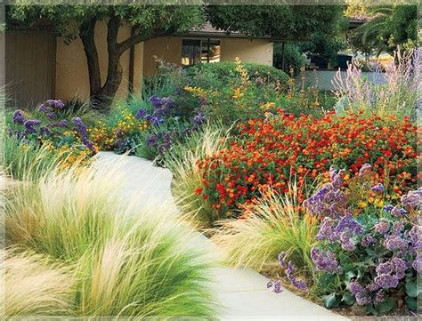 Front Yard Drought Tolerant Plants 5 Easy Tips
