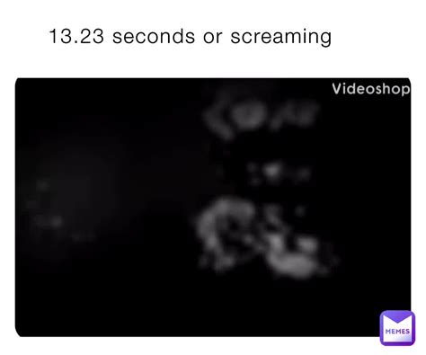 13 23 seconds or screaming shinyraikou army memes