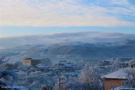 Şuşada Yeni Il Yolkası Quruldu Foto