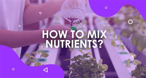 How To Mix Your Nutrients Correctly