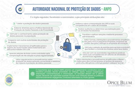 Portal Da Privacidade E Ia Infográfico “autoridade Nacional De Proteção De Dados”