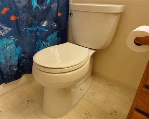 Kohler Cimarron® K 3887 Toilet Review Pictures And Comments Terry