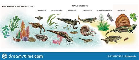 The Archean Proterozoic And Paleozoic Eras Stock Illustration