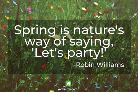 Elevate Your Spring Fever With 15 Inspirational Spring Quotes Yard Surfer