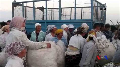 Cotton Campaign And Forced Labor In Uzbekistan Interview With VOA Uzbek YouTube