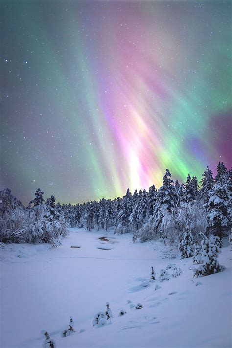 Auroras Boreales Winter Photography Landscape Photography Nature