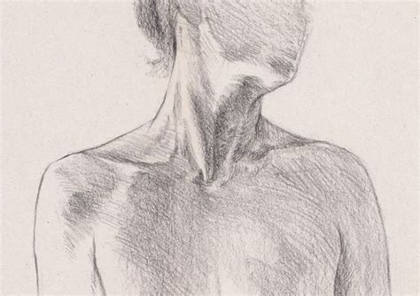 How To Draw A Neck And Shoulders Creative Bloq