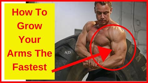 How To Grow Your Arms The Fastest Youtube