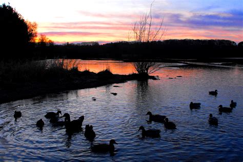 Wallpaper Landscape Sunset Lake Reflection Sky Sunrise Calm